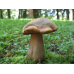 Мицелий Дубовика оливково-бурого (Boletus luridus) Мицелий Дубовика оливково-бурого (Boletus luridus)